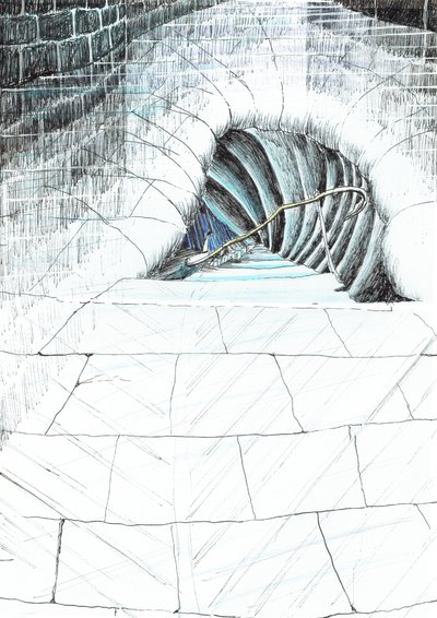 page45, Le château dans la forêt de Findhorn, 2006 - Vincent Alexander Booth