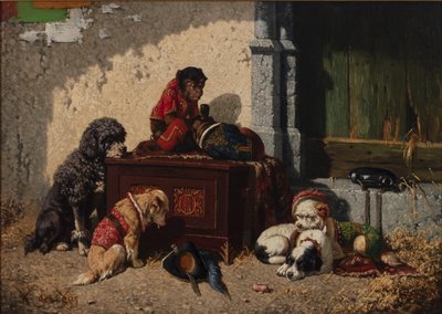 Compagnons de cirque - Vincent de Vos