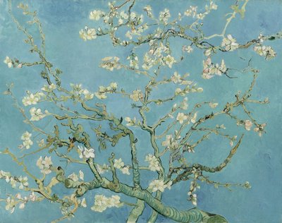 Amandier en fleurs - Vincent van Gogh