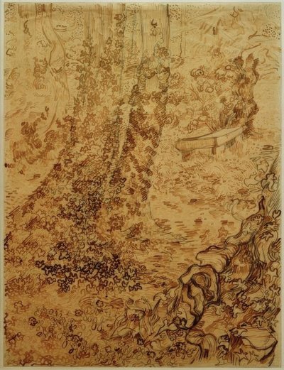 Arbres avec lierre dans le jardin de l