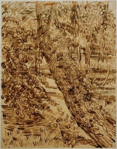 Arbre avec lierre dans le jardin de l