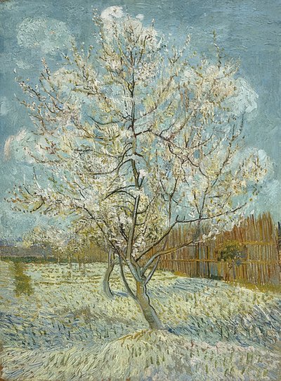 Pêcher en fleurs (rose) - Vincent van Gogh