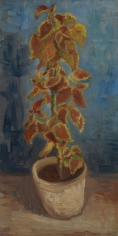 Pot de fleurs avec coleus - Vincent van Gogh