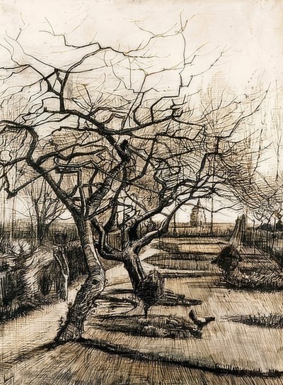 Le jardin du presbytère à Nuenen - Vincent van Gogh