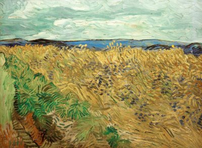 Champ, avec bleuets - Vincent van Gogh