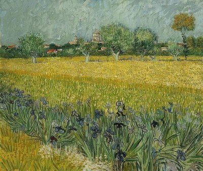 Champ avec des iris près d