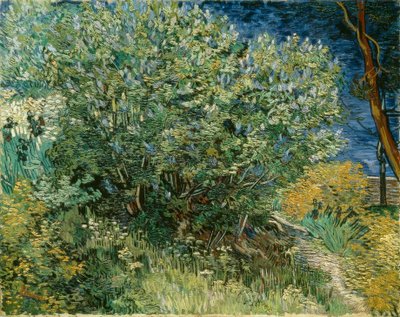 Lilas - Vincent van Gogh