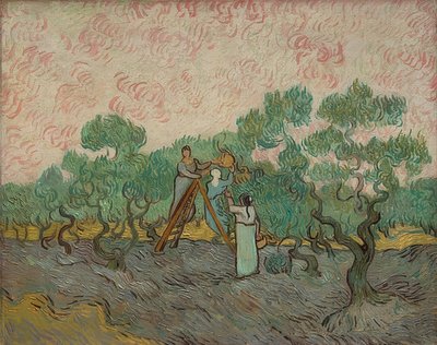 Femmes à la récolte des olives. 1889 - Vincent van Gogh