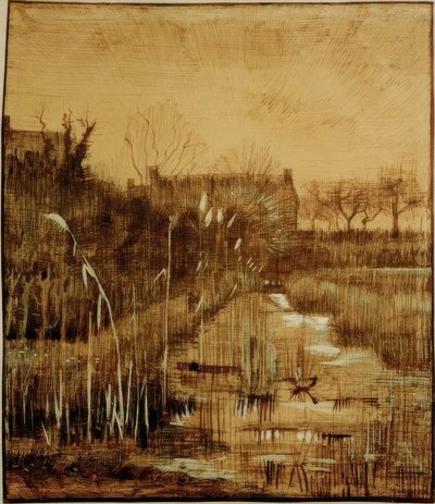 Fossé - Vincent van Gogh