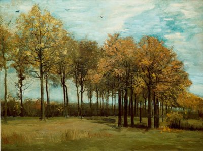 Paysage d