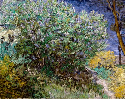 Le buisson de lilas - Vincent van Gogh