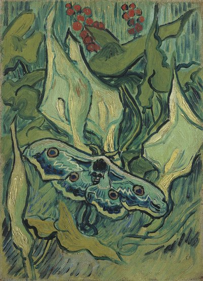 Le grand paon vert - Vincent van Gogh