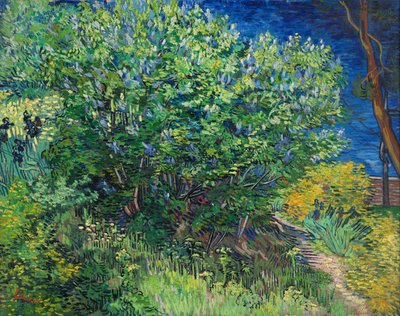 Lilas - Vincent van Gogh