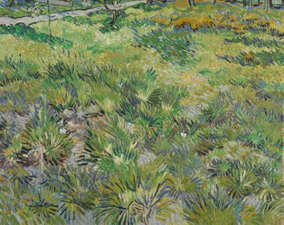Herbe longue avec des papillons, 1890 - Vincent van Gogh