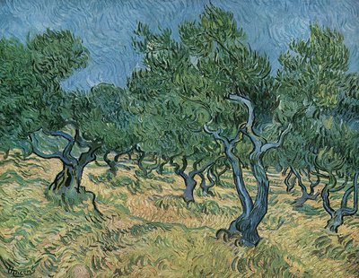 Oliveraie - Vincent van Gogh