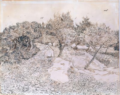 Oliviers à Montmajour - Vincent van Gogh