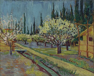 Verger bordé de cyprès - Vincent van Gogh