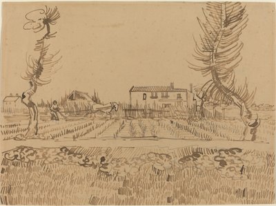 Laboureur dans les champs près d