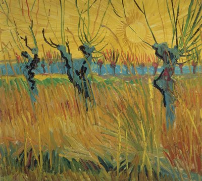Saules têtards et coucher de soleil - Vincent van Gogh