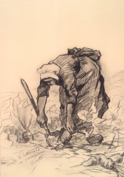 Cueilleuse de betteraves - Vincent van Gogh
