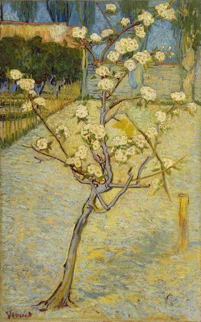  - Vincent van Gogh