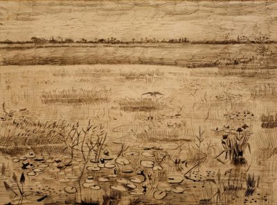 Paysage marécageux avec nénuphars - Vincent van Gogh