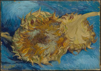  - Vincent van Gogh