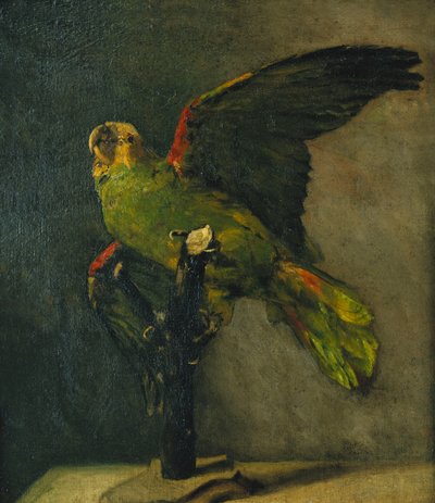 Le Perroquet vert, 1885 - Vincent van Gogh