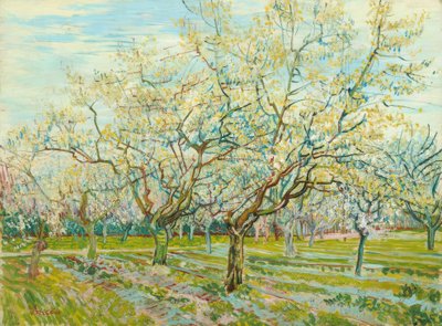 Le verger blanc - Vincent van Gogh