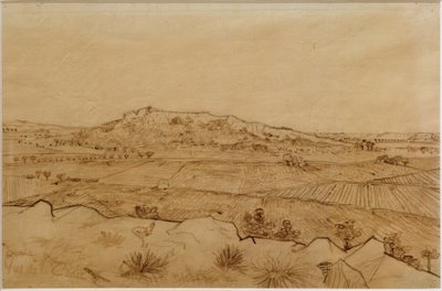 Vue de la Crau - Vincent van Gogh