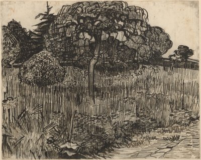 Arbre pleureur - Vincent van Gogh