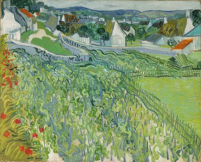 Vignobles à Auvers - Vincent van Gogh
