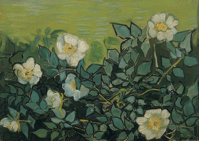 Églantines - Vincent van Gogh