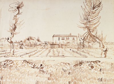Laboureur dans les Champs à Arles - Vincent van Gogh
