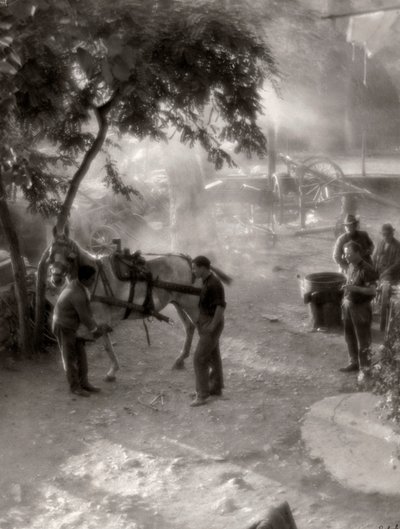 Ferrage des chevaux, Italie - Vincenzo Balocchi