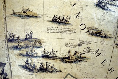 Chasse à la baleine dans le Pacifique. Détail d