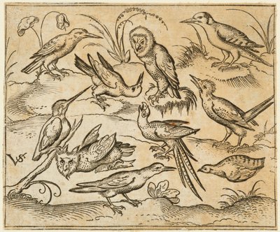 Dix oiseaux perchés sur des branches et des touffes d