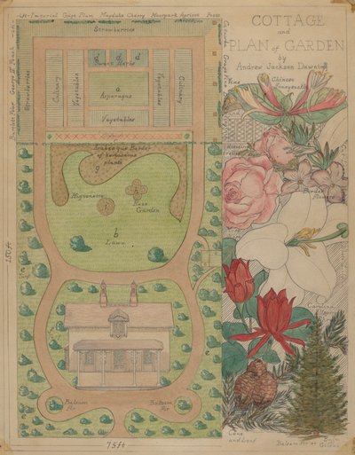 Plan au sol pour un cottage, vers 1936 - Virginia Richards