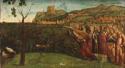 Carpaccio - La métamorphose d