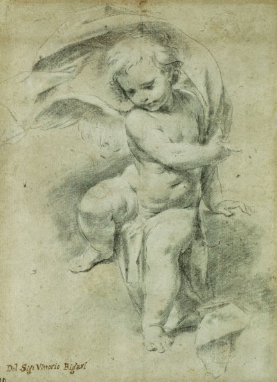 Un ange - Vittorio Maria Bigari
