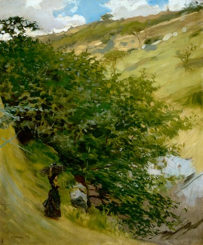 Tas de bois dans le paysage par Vittorio Matteo Corcos (1859-1933) - Vittorio Matteo Corcos