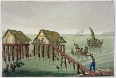 Habitations de la tribu Papu, Rawak, planche 22 de 