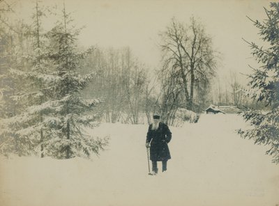 Le comte Lev Nikolaïevitch Tolstoï marchant. - Vladimir Grigorievich Chertkov