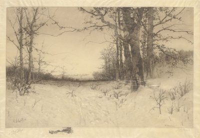 Milieu de l