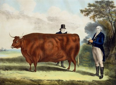 Portrait de M. T.W. Coke Esq. et Clerk Hilliard Esq. avec un bœuf du North Devon - W.H. Davis