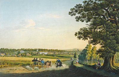 Vue d
