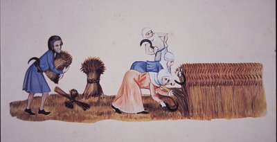 Femmes médiévales récoltant du maïs, d
