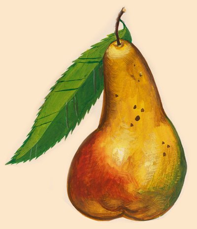 Poire avec feuille, dessin - John Ward Dunsmore