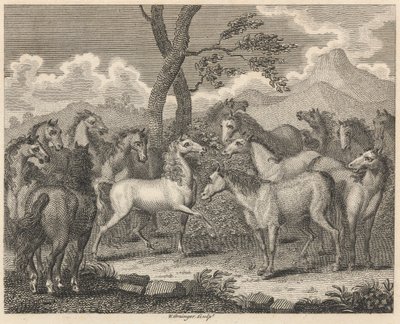 Le Conseil des chevaux - W. Grainger