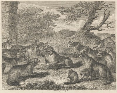 Le renard à l